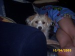 bobby1004a.jpg

95.12 KB 
640 x 480 
24/05/2003
