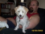 bobby1903a.jpg

349.83 KB 
1280 x 960 
19/03/2002
