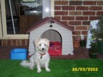 bobby2003c.jpg

354.37 KB 
1280 x 960 
20/03/2002
