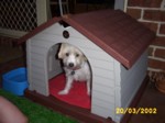 bobby2003d.jpg

353.54 KB 
1280 x 960 
20/03/2002
