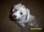 bobby2404a.jpg

95.20 KB 
640 x 480 
24/05/2003
