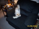 bobby3105a.jpg

96.07 KB 
640 x 480 
24/05/2003
