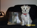 bobby3105d.jpg

96.45 KB 
640 x 480 
24/05/2003
