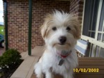 bobby_0018.jpg

350.95 KB 
1280 x 960 
12/02/2002
