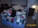 dogs2204a.jpg

96.67 KB 
640 x 480 
24/05/2003
