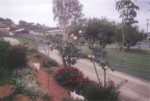 garden.jpg

82.17 KB 
872 x 590 
17/08/2003
