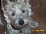 jock0705b.jpg

97.05 KB 
640 x 480 
24/05/2003
