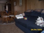 jock2404b.jpg

95.61 KB 
640 x 480 
24/05/2003
