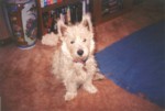 jock3.jpg

61.65 KB 
871 x 590 
17/08/2003
