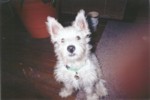 jock6.jpg

49.81 KB 
878 x 589 
17/08/2003
